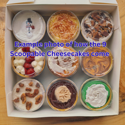 Scoopable Cheesecake (All 9 Scoops)